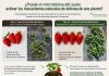 Puede el microbioma del suelo activar los mecanismos naturales de defensa de una planta