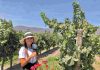 Reportaje | ¿Qué hay detrás del precio de un gran vino en Chile? Reportaje | ¿Qué hay detrás del precio de un gran vino en Chile?