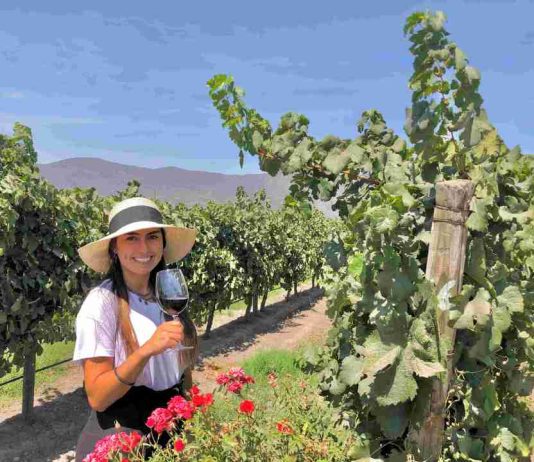 Reportaje | ¿Qué hay detrás del precio de un gran vino en Chile?