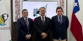 SAG y Frutas de Chile logran avances para agilizar exportaciones frutícolas a México