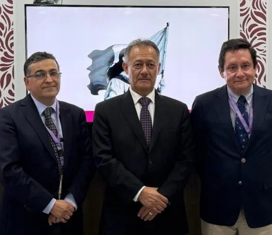 SAG y Frutas de Chile logran avances para agilizar exportaciones frutícolas a México