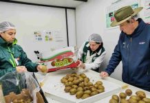 SAG Ñuble destaca sistema de inspección en línea en el marco de la capacidad exportadora regional SAG Ñuble destaca sistema de inspección en línea en el marco de la capacidad exportadora regional