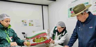 SAG Ñuble destaca sistema de inspección en línea en el marco de la capacidad exportadora regional SAG Ñuble destaca sistema de inspección en línea en el marco de la capacidad exportadora regional