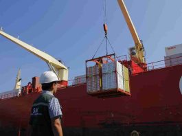 SAG avanza en certificación fitozoosanitaria electrónica con nuevos acuerdos digitales con Uruguay e Israel