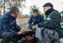 SAG intensifica fiscalización por Mosca de la Fruta con controles carreteros simultáneos en tres regiones del país SAG intensifica fiscalización por Mosca de la Fruta con controles carreteros simultáneos en tres regiones del país