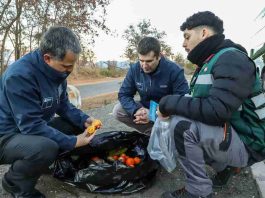 SAG intensifica fiscalización por Mosca de la Fruta con controles carreteros simultáneos en tres regiones del país SAG intensifica fiscalización por Mosca de la Fruta con controles carreteros simultáneos en tres regiones del país