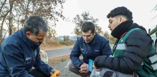 SAG intensifica fiscalización por Mosca de la Fruta con controles carreteros simultáneos en tres regiones del país SAG intensifica fiscalización por Mosca de la Fruta con controles carreteros simultáneos en tres regiones del país
