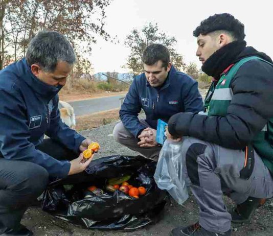 SAG intensifica fiscalización por Mosca de la Fruta con controles carreteros simultáneos en tres regiones del país SAG intensifica fiscalización por Mosca de la Fruta con controles carreteros simultáneos en tres regiones del país