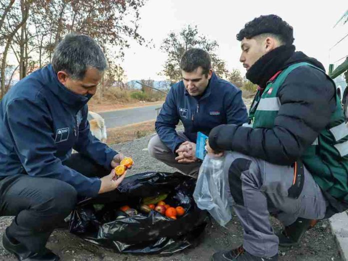 SAG intensifica fiscalización por Mosca de la Fruta con controles carreteros simultáneos en tres regiones del país SAG intensifica fiscalización por Mosca de la Fruta con controles carreteros simultáneos en tres regiones del país