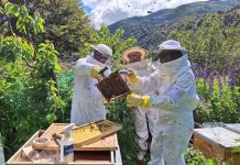SAG recuerda la obligación de avisar la aplicación de plaguicidas tóxicos para las abejas SAG recuerda la obligación de avisar la aplicación de plaguicidas tóxicos para las abejas
