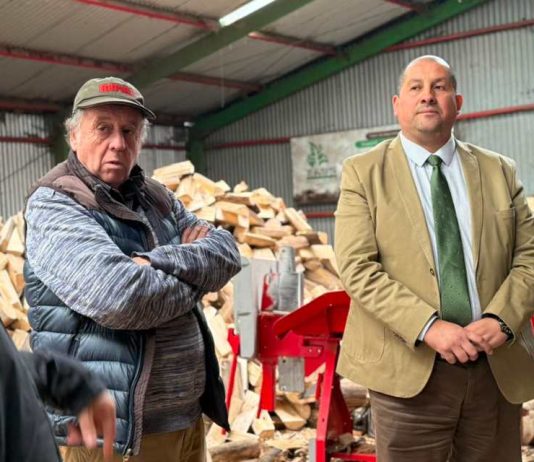 Seremi de Energía se reúne con Aproleña para monitorear producción y comercialización responsable de leña seca en el Biobío