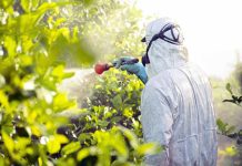 SAG Biobío y empresa frutícola verifican funcionamiento del sistema de aviso de aplicación de plaguicidas SAG Biobío y empresa frutícola verifican funcionamiento del sistema de aviso de aplicación de plaguicidas