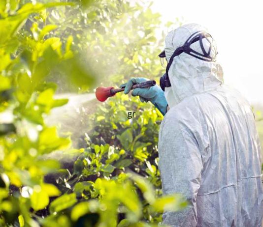 SAG Biobío y empresa frutícola verifican funcionamiento del sistema de aviso de aplicación de plaguicidas