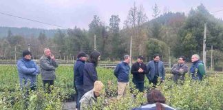 Subsecretario de Agricultura destaca mejoras en el Vivero Pantanillos de CONAF y entrega de bonos de riego por $191 millones en el Maule Subsecretario de Agricultura destaca mejoras en el Vivero Pantanillos de CONAF y entrega de bonos de riego por $191 millones en el Maule