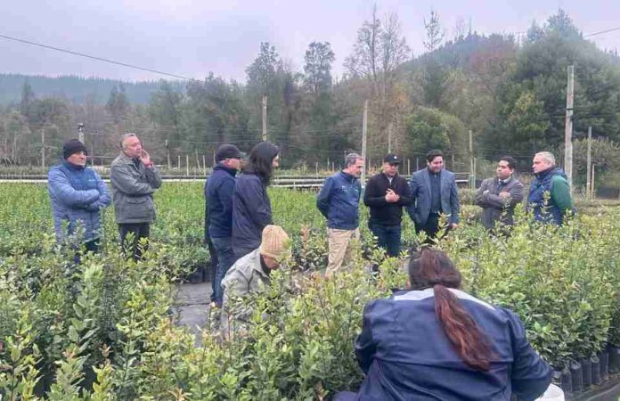 Subsecretario de Agricultura destaca mejoras en el Vivero Pantanillos de CONAF y entrega de bonos de riego por $191 millones en el Maule Subsecretario de Agricultura destaca mejoras en el Vivero Pantanillos de CONAF y entrega de bonos de riego por $191 millones en el Maule