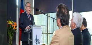 TRAS VISITA A INDIA, VINOS DE CHILE PIDE CAUTELA