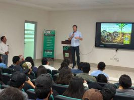 México | Economía circular y biofertilización: Estrategias clave para la reducción de costos operativos en la agricultura sustentable de Terragénesis México | Economía circular y biofertilización: Estrategias clave para la reducción de costos operativos en la agricultura sustentable de Terragénesis