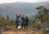 Turberas de Cabo Froward almacenan hasta 3 veces más carbono que los bosques del sector