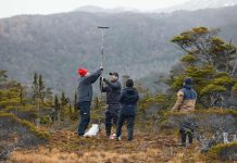 Turberas de Cabo Froward almacenan hasta 3 veces más carbono que los bosques del sector