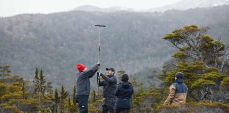Turberas de Cabo Froward almacenan hasta 3 veces más carbono que los bosques del sector