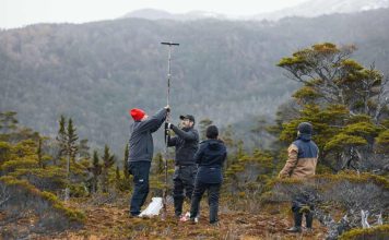 Turberas de Cabo Froward almacenan hasta 3 veces más carbono que los bosques del sector