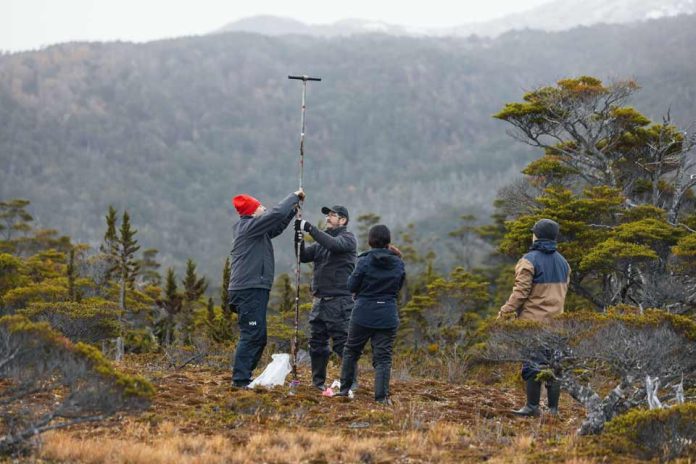 Turberas de Cabo Froward almacenan hasta 3 veces más carbono que los bosques del sector