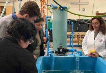 UCN realiza transferencia tecnológica sobre Biofloc para optimizar el uso de agua en la acuicultura