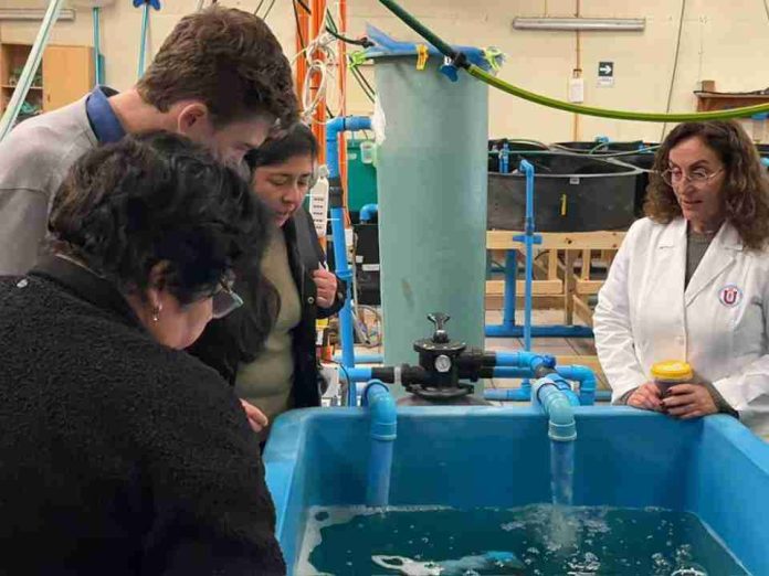 UCN realiza transferencia tecnológica sobre Biofloc para optimizar el uso de agua en la acuicultura