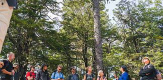 UdeC y Jardín Botánico de la Universidad de Cambridge formalizan alianza para conservar flora chilena amenazada