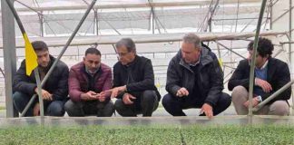 Vitácea-Hijuelas coordina transferencia tecnológica y genética desde Chile para el mercado en Brasil Vitácea-Hijuelas coordina transferencia tecnológica y genética desde Chile para el mercado en Brasil