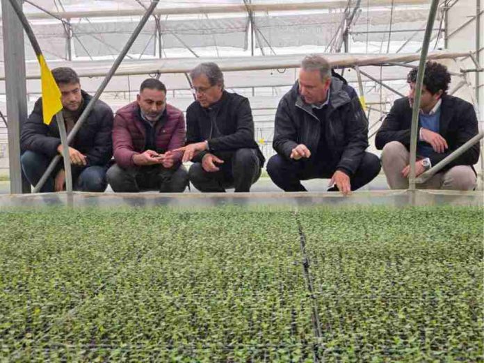 Vitácea-Hijuelas coordina transferencia tecnológica y genética desde Chile para el mercado en Brasil Vitácea-Hijuelas coordina transferencia tecnológica y genética desde Chile para el mercado en Brasil