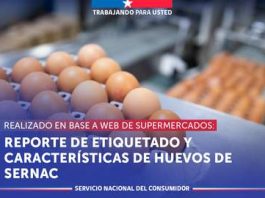 SERNAC y Minsal encienden alarmas por etiquetado engañoso de huevos en supermercados: Desmienten mitos nutricionales