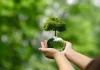 Reportaje | Especialistas abordarán en Talca la resiliencia de los bosques frente al cambio climático Reportaje | Especialistas abordarán en Talca la resiliencia de los bosques frente al cambio climático