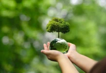 Reportaje | Especialistas abordarán en Talca la resiliencia de los bosques frente al cambio climático Reportaje | Especialistas abordarán en Talca la resiliencia de los bosques frente al cambio climático