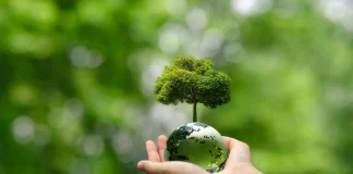 Noticia: Reportaje | Especialistas abordarán en Talca la resiliencia de los bosques...