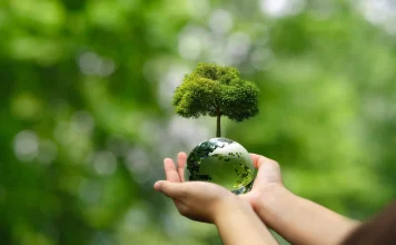 Reportaje | Especialistas abordarán en Talca la resiliencia de los bosques frente al cambio climático Reportaje | Especialistas abordarán en Talca la resiliencia de los bosques frente al cambio climático