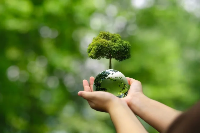 bosque-cambioclimatico-ucm-2026-392c0a7d-f3f7-48e2-b202-cbb178bbad6a Reportaje | Especialistas abordarán en Talca la resiliencia de los bosques frente al cambio climático