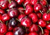 Turquía prevé aumentar sus exportaciones de cereza tras recuperar producción y su objetivo es China Turquía prevé aumentar sus exportaciones de cereza tras recuperar producción y su objetivo es China