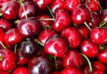 Turquía prevé aumentar sus exportaciones de cereza tras recuperar producción y su objetivo es China Turquía prevé aumentar sus exportaciones de cereza tras recuperar producción y su objetivo es China