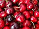 Turquía prevé aumentar sus exportaciones de cereza tras recuperar producción y su objetivo es China