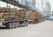 Exportaciones forestales del Biobío caen 21,5% en abril y profundizan tendencia a la baja del sector Exportaciones forestales del Biobío caen 21,5% en abril y profundizan tendencia a la baja del sector