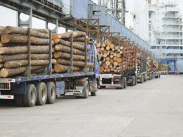 Exportaciones forestales del Biobío caen 21,5% en abril y profundizan tendencia a la baja del sector Exportaciones forestales del Biobío caen 21,5% en abril y profundizan tendencia a la baja del sector