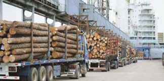 Exportaciones forestales del Biobío caen 21,5% en abril y profundizan tendencia a la baja del sector Exportaciones forestales del Biobío caen 21,5% en abril y profundizan tendencia a la baja del sector