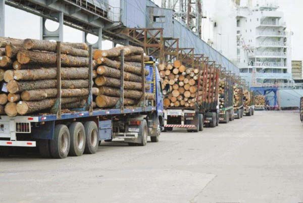 f333c9e8 Exportaciones forestales del Biobío caen 21,5% en abril y profundizan tendencia a la baja del sector