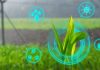 ¿Cómo funcionan los gemelos digitales en la agricultura?