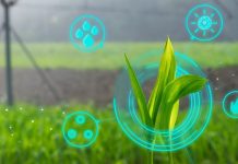 ¿Cómo funcionan los gemelos digitales en la agricultura?