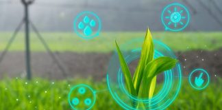 ¿Cómo funcionan los gemelos digitales en la agricultura?