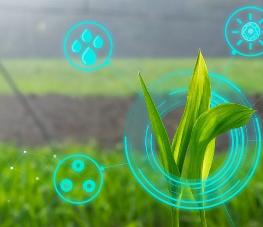 ¿Cómo funcionan los gemelos digitales en la agricultura?