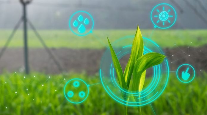 ¿Cómo funcionan los gemelos digitales en la agricultura?