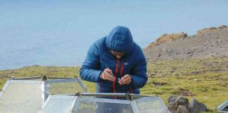 Lanzan proyecto que busca anticipar el impacto de especies invasoras en la Antártica Lanzan proyecto que busca anticipar el impacto de especies invasoras en la Antártica